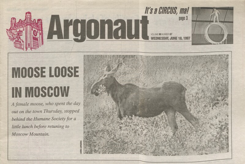 Front page of Argonaut with a picture of a moose