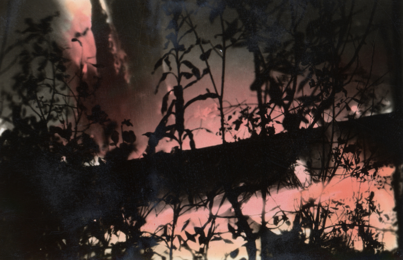 Selway Forest Fires of 1934