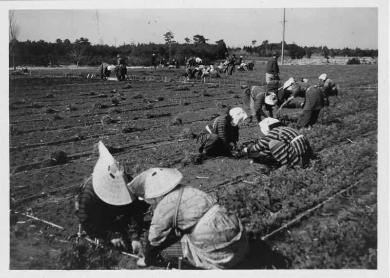 Japanese citizens
