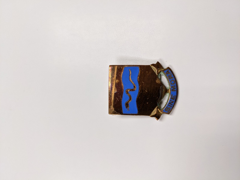 US Army 116th Cavalry Unit Crest DUI (Sine Mora) (front)