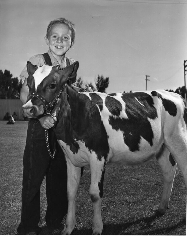 Boy with calf