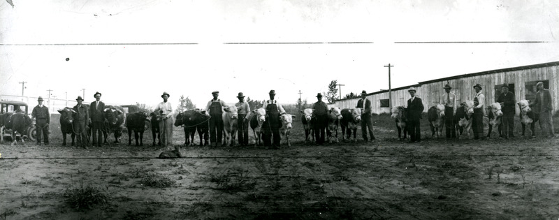 First Annual Show and Sale