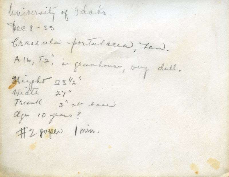 Specifications on Envelope [1]