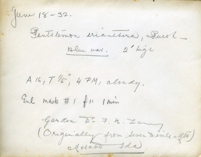 Specifications on Envelope [2]