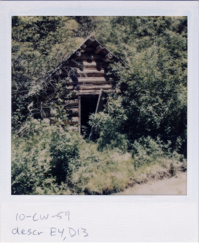 Old Cabin