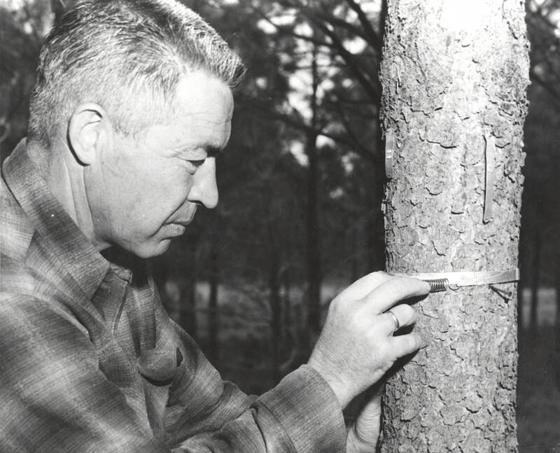 Nursery superintendent Frank Pitkin