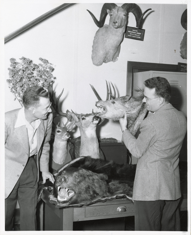Kenneth Hungerford (left) with taxidermied animals
