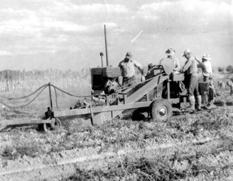 Potato digger