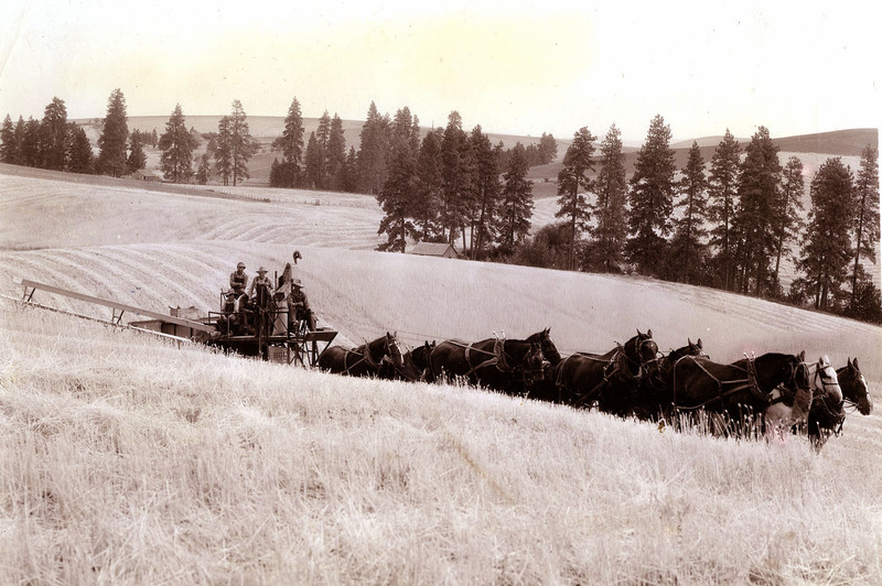 Horse-drawn combine