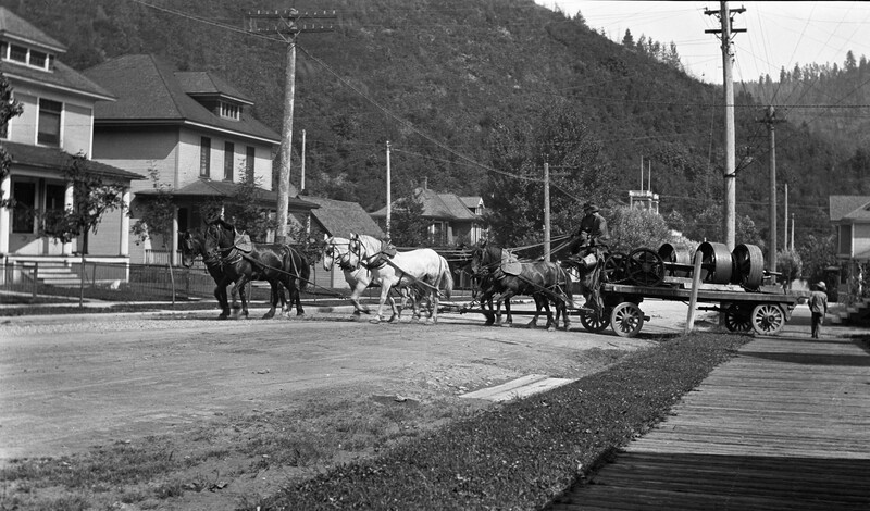 Horse carriage delivery freight