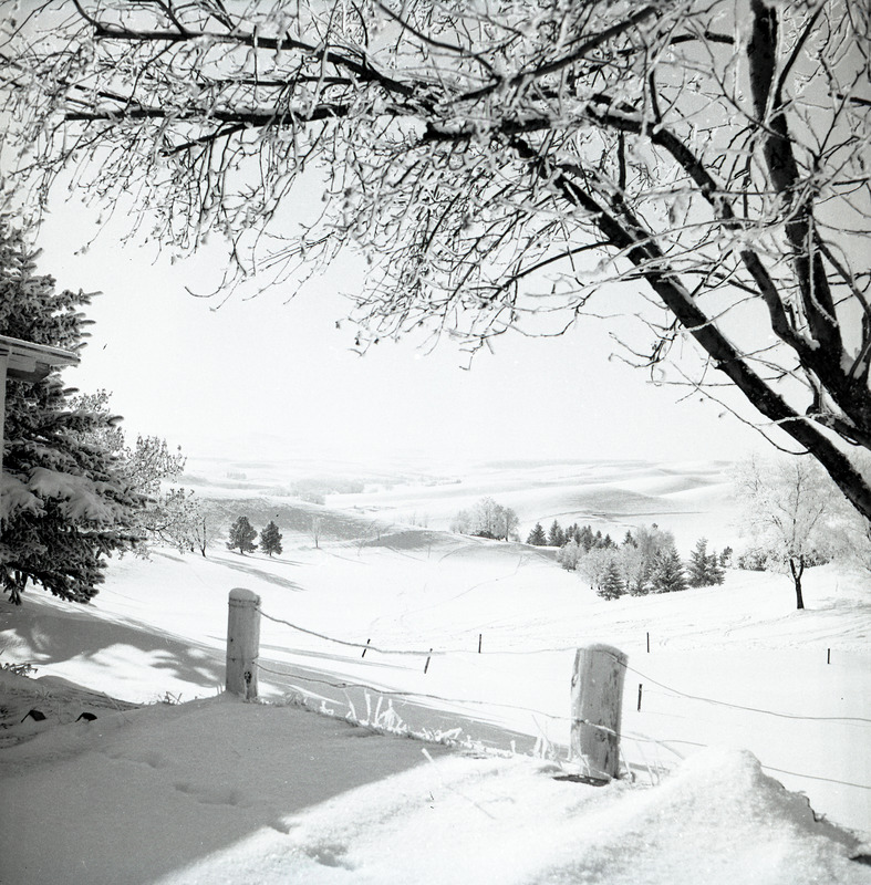 Views of University of Idaho Campus in Winter