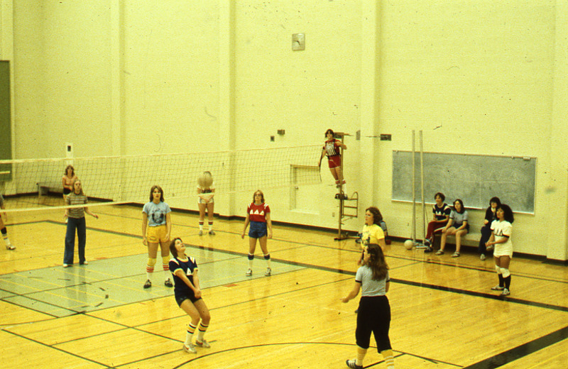 Volleyball