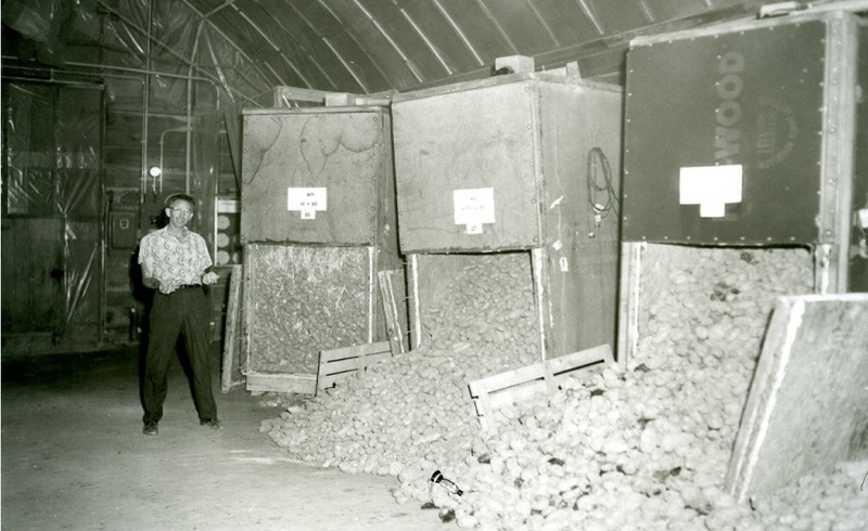 am I just your imagination?