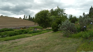 U of I Arboretum [4]