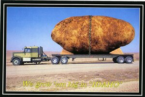 Oversized potato postcard [2]