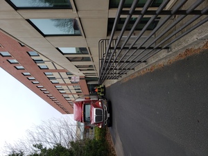 For All The World To See: Visual Culture and the Struggle for Civil Rights exhibit [9]