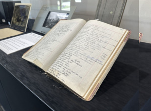 Capturing Moments in Time [3]