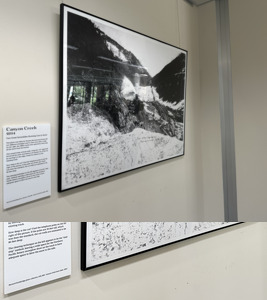 Capturing Moments in Time [4]