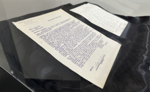 Capturing Moments in Time [5]