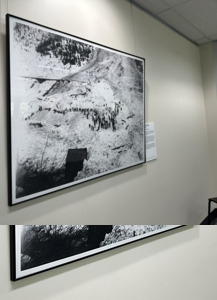 Capturing Moments in Time [6]