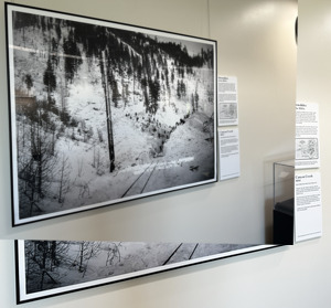 Capturing Moments in Time [2]