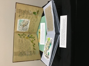 A Book's Nature exhibit [5]
