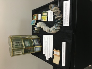 A Book's Nature exhibit [7]