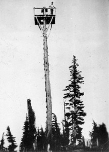 Cook National Lookout