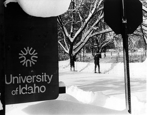 Cross-country skiing at U of I [01]