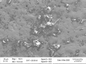 SEM Scan of National Medal of Arts [1]