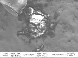 SEM Scan of National Medal of Arts [3]