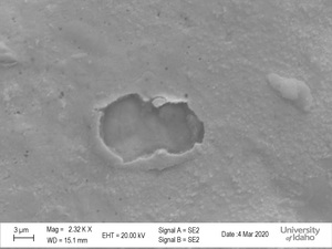 SEM Scan of National Medal of Arts [4]