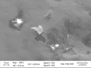 SEM Scan of National Medal of Arts [5]