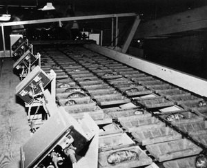 Potato Packaging Production