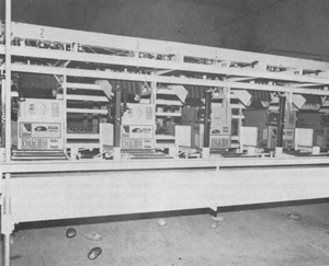 Potato conveyor belt [2]