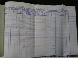 Shielding Analysis Chart