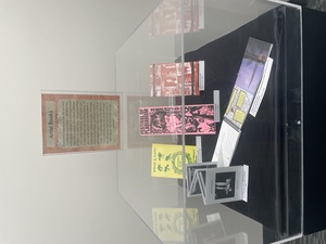 Beyond a Book: Artist Books display [5]