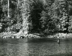 Image of Fishing at Beaver Creek