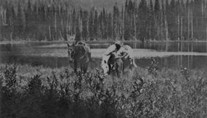 Image of Cayuse Lake