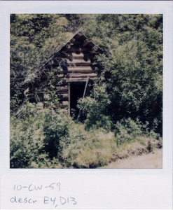 Old Cabin