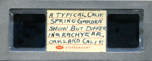 Stereoscopic slides [3]