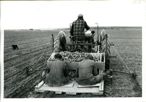 Parma Branch Experiment Station [1]