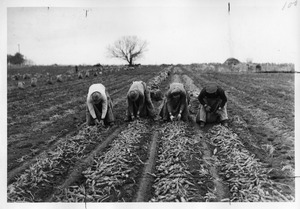 Parma Branch Experiment Station [2]