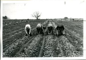 Parma Branch Experiment Station [2]