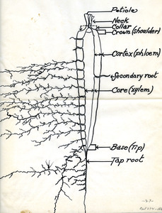 Parma Branch Experiment Station [5]