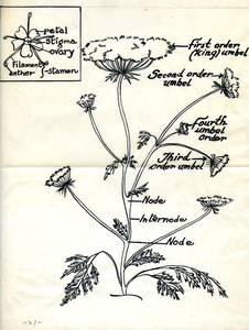 Parma Branch Experiment Station [6]