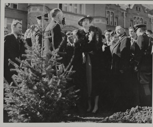 Eleanor Roosevelt [2]