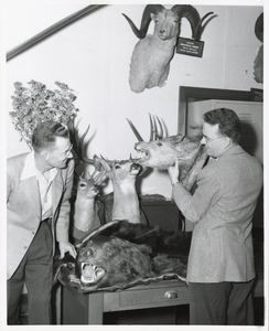 Kenneth Hungerford (left) with taxidermied animals
