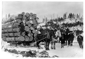 Ray Rauch operation [1]