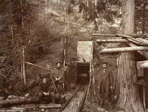 Golden Gate Mine survey [1]